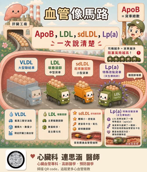 頸動脈超音波檢查