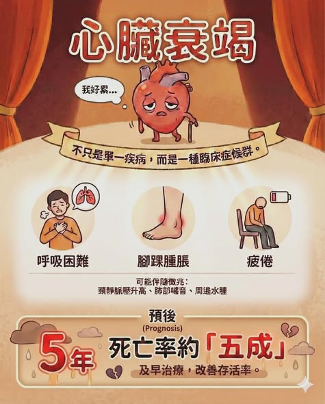 心臟衰竭：三大警訊與預後（五年死亡率約五成）