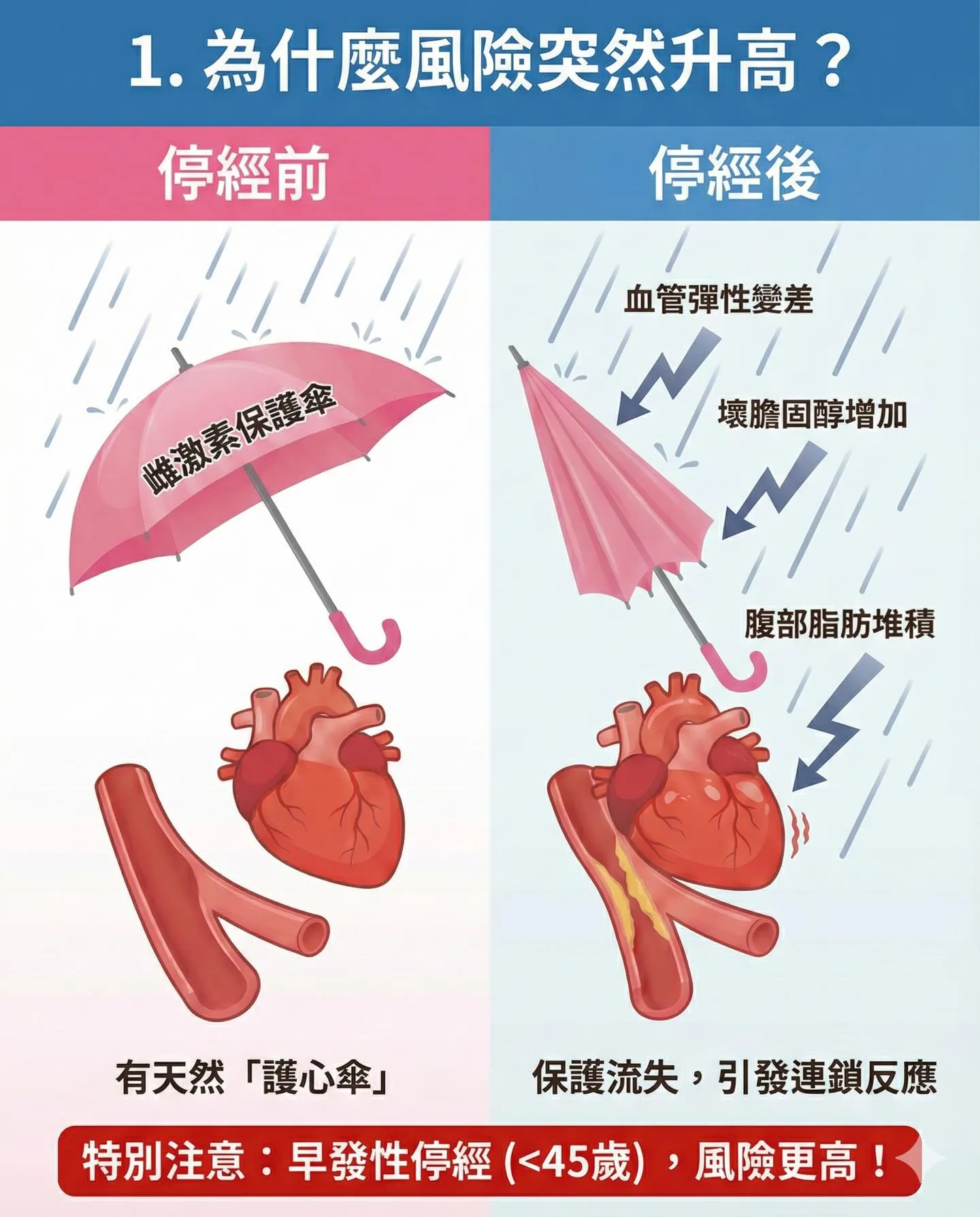 為什麼風險突然升高？停經前 vs 停經後